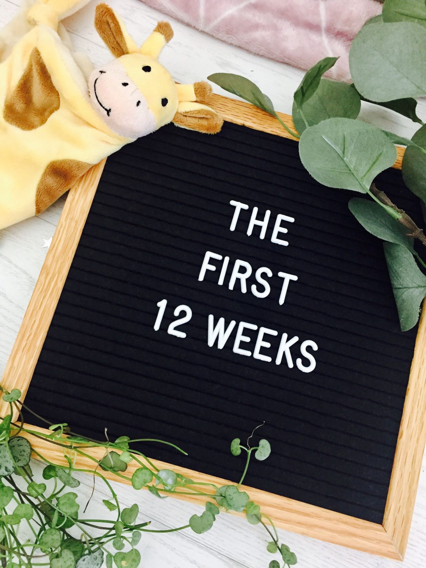 Pregnancy updates first trimester 12 weeks