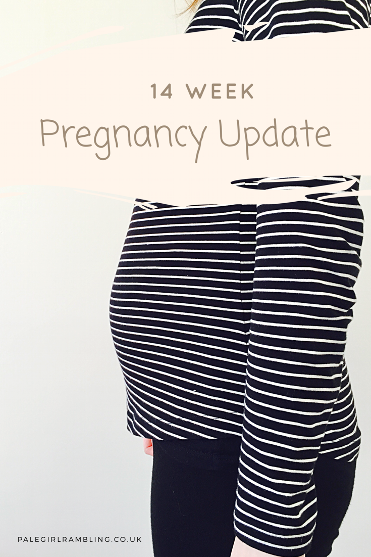 Week 14 pregnancy update and bumpie